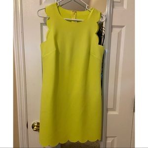 J. Crew Scalloped Dress Size 6 Yellow